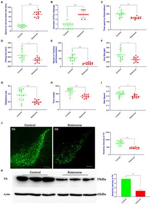 microRNAs profiling of small extracellular vesicles from midbrain tissue of Parkinson’s disease